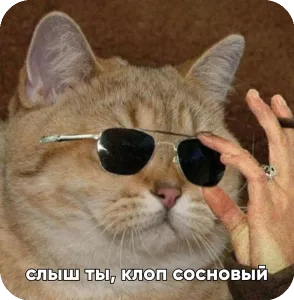 Чиновники предложили заменить маты на названия лесных вредителей